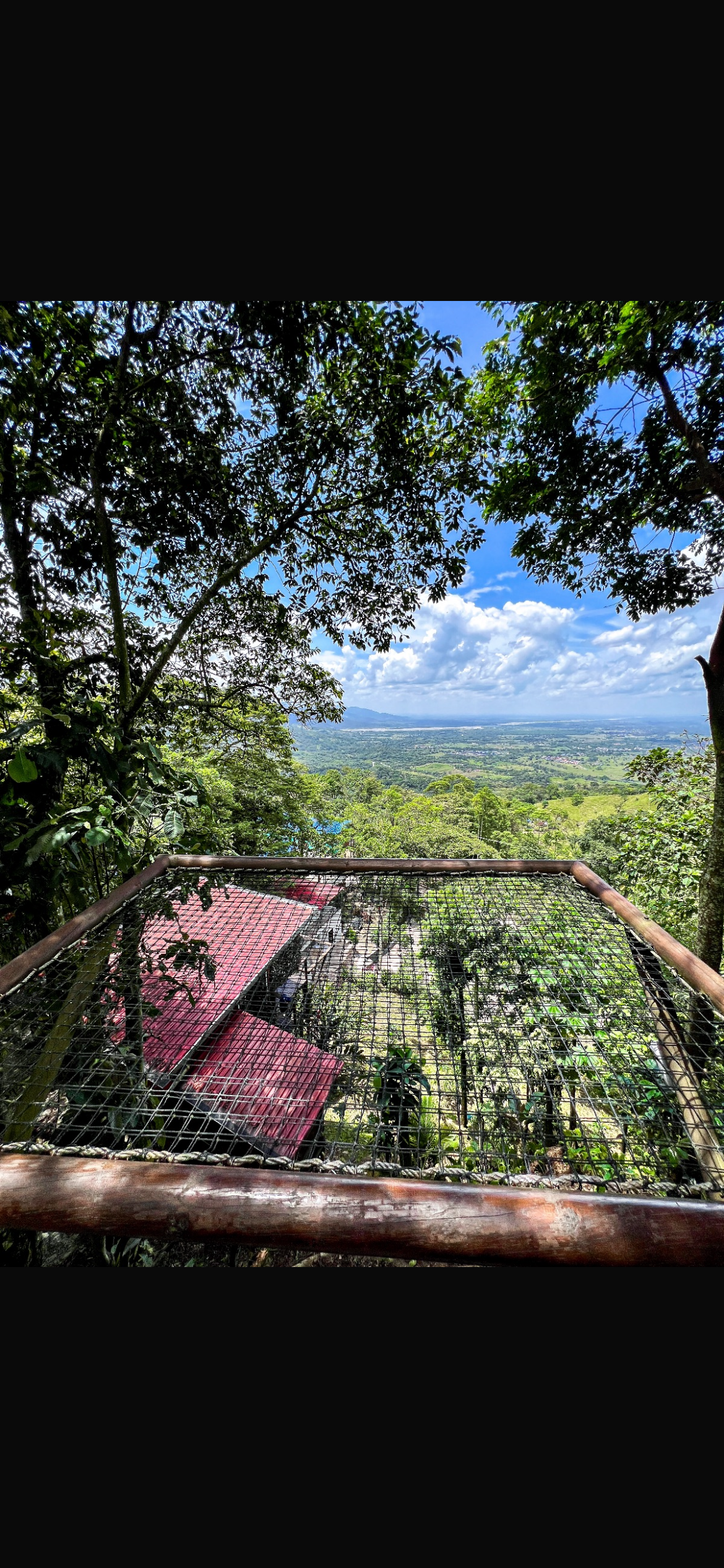 Galería 8